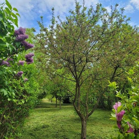 Casă cu 4 camere în Dobârca