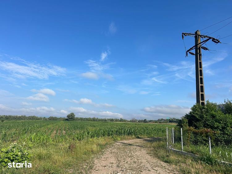 Teren de 8600 mp, în Central