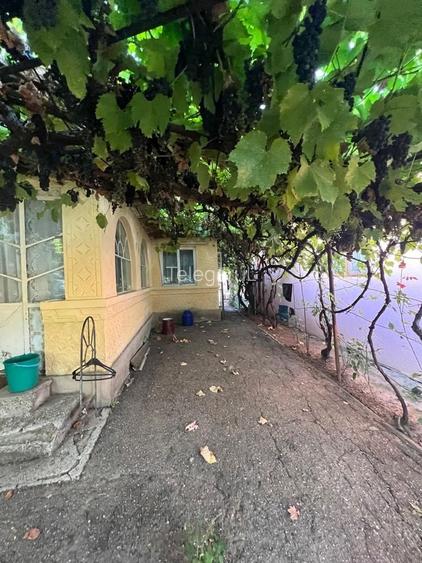 2 Case si teren de 2031mp Golesti/Focsani
