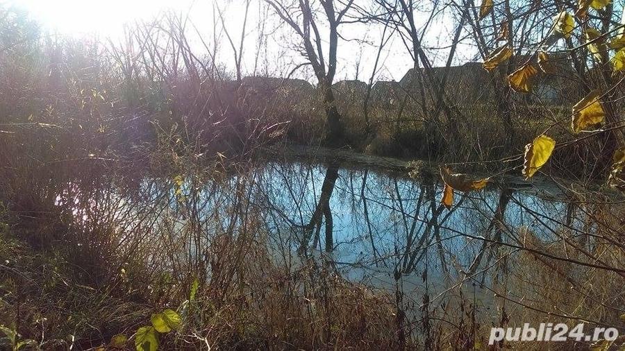 Casă cu 4 camere cu Teren 6500 Mp în Ineu