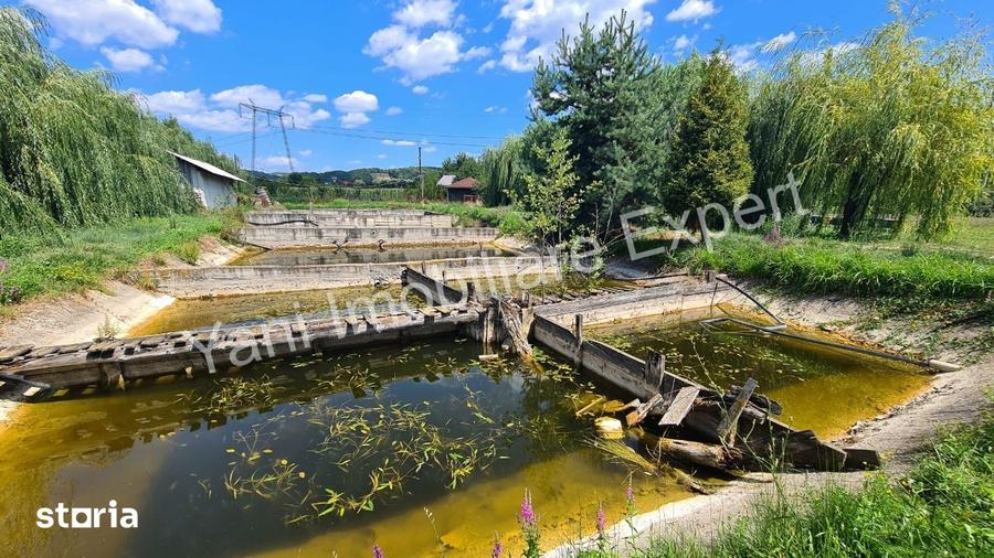 Teren de 40672 mp, în Cepari