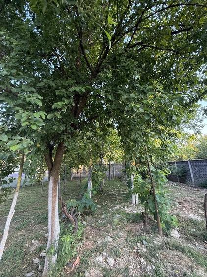 Casă cu 5 camere cu Teren 800 Mp în Central