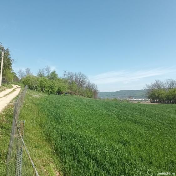 Teren în Micești