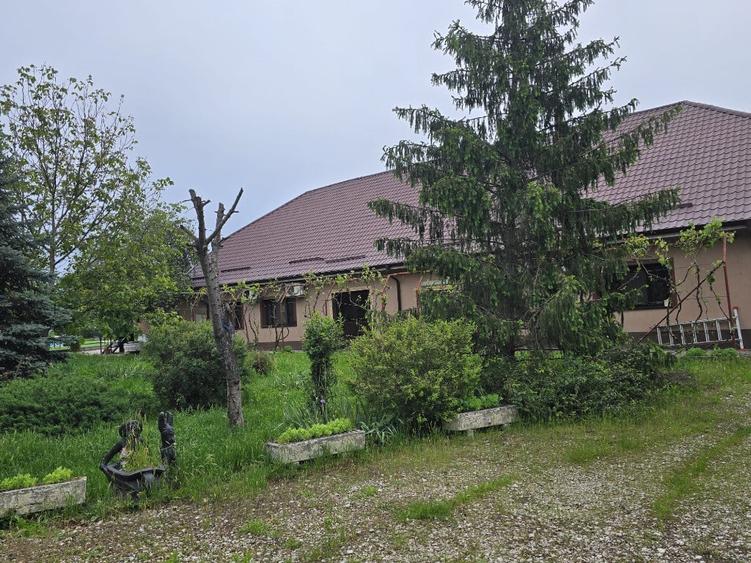 Teren de 38464 mp, în Beharca