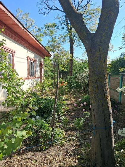 Casă cu Teren 1500 Mp în Dor Mărunt