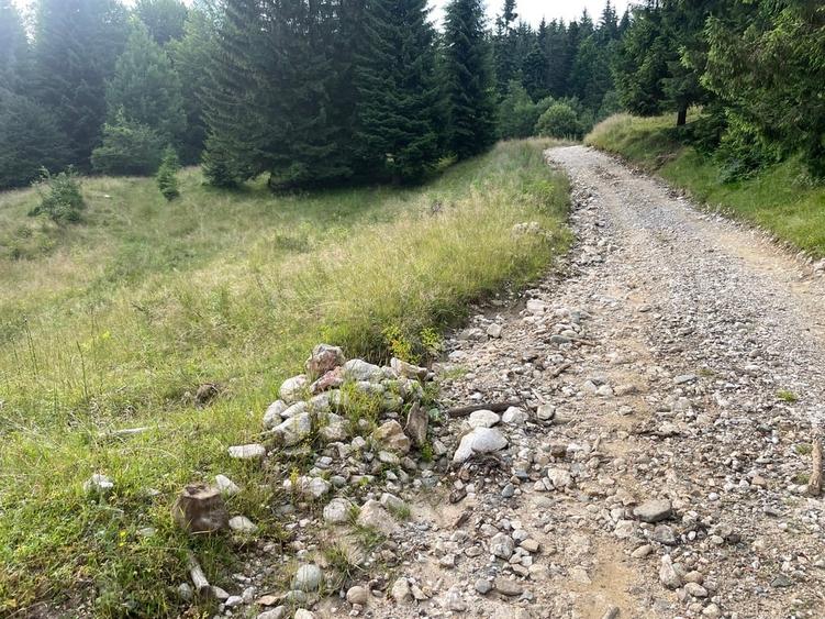 Teren Construcții intravilan de 12750 mp, în Pârâul Rece