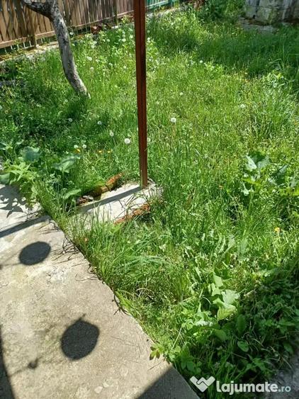 Casă cu 2 camere cu Teren 1600 Mp în Central