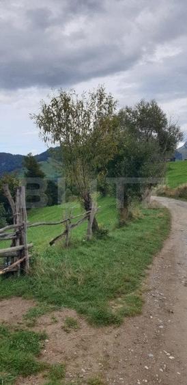 Teren 13.570 mp, Moieciu Pestera - 13