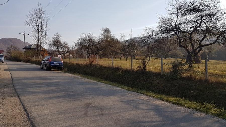 Teren Construcții intravilan de 7412 mp, în Bârsana