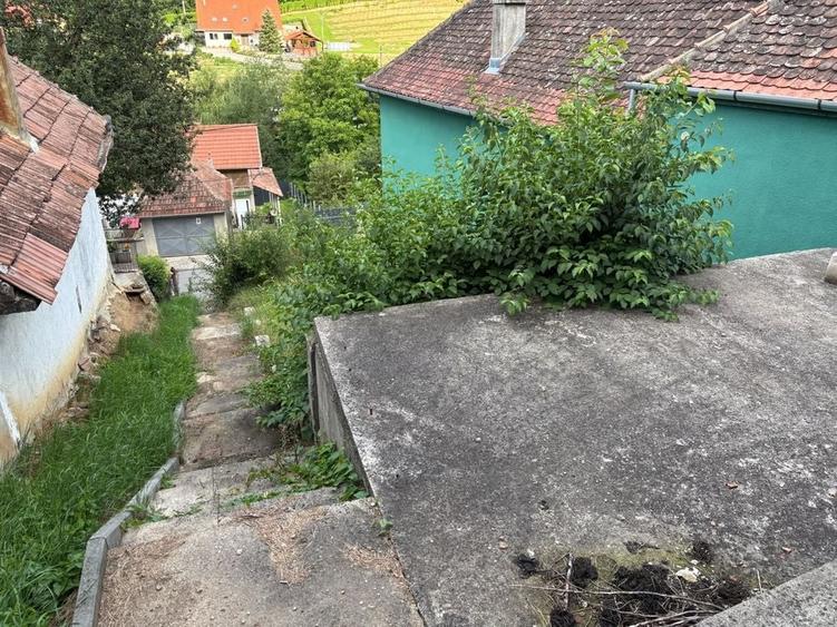 Casă cu 3 camere în Central