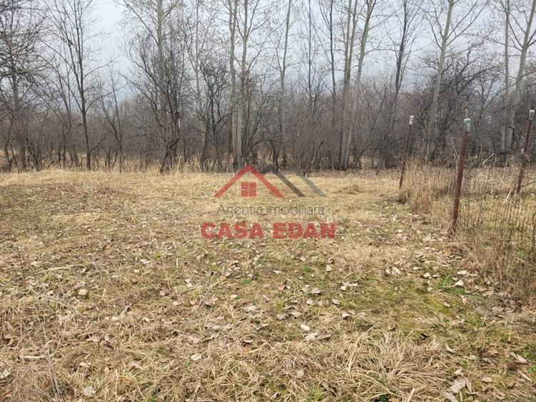 Casă cu Teren 1358 Mp în Gura Beliei