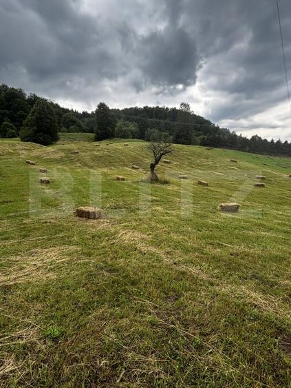Teren Construcții intravilan de 9000 mp, în Exterior Vest