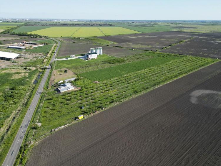 Teren de 24200 mp, în Iratoșu