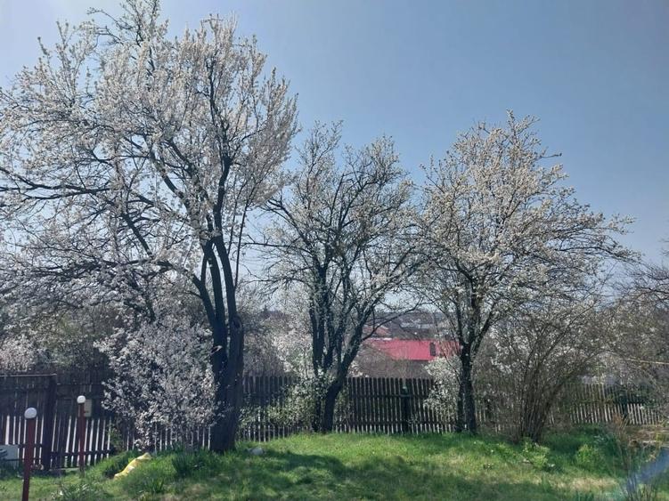 Casă individuală cu 2 camere cu Canalizare în Cartojani