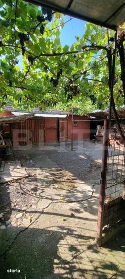 Casa cu 3 camere, anexe, curte si gradina - 2
