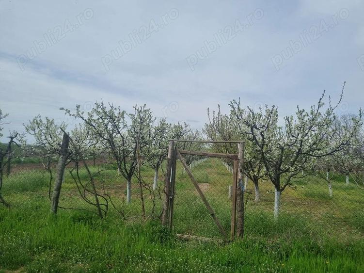 Teren de 2000 mp, în Dridu