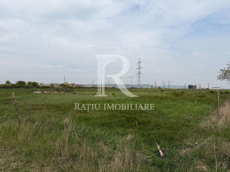 Teren Construcții intravilan de 28933 mp, în Nufărul