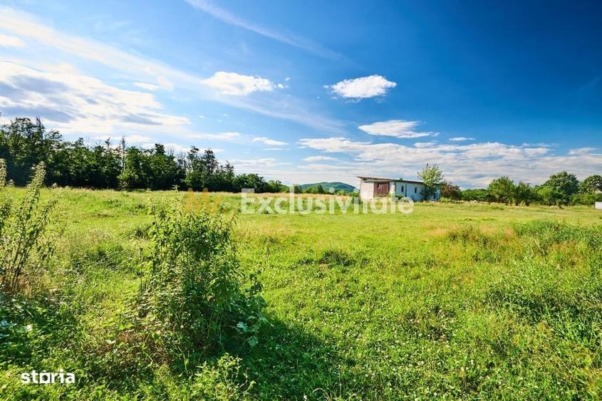 Teren Intravilan 1100 mp + Anexa 120 mp - Budeasa, Calotesti! - 12