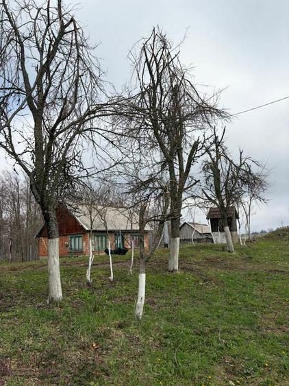 Casă cu 3 camere în Stăncilova