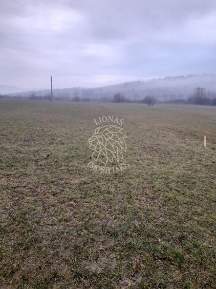 Teren agricol extravilan de 1698 mp, în Dumitrița