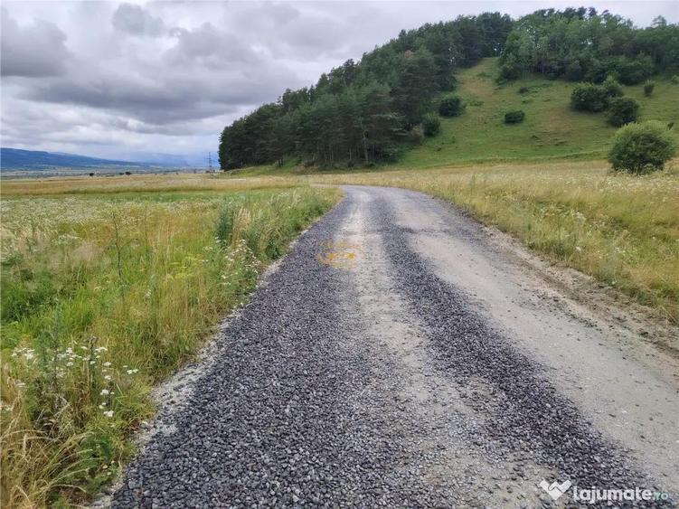 Teren în Vale
