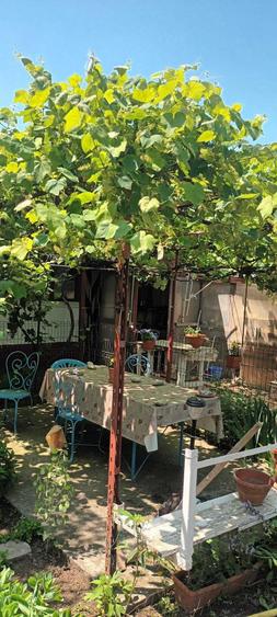 Casa de Vanzare intrare Limanu 1032mp2 cu 7 camere - 3