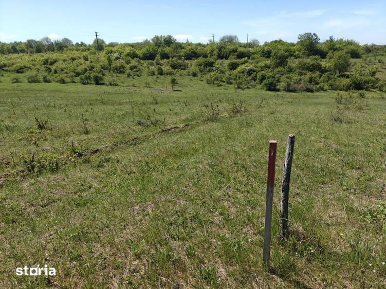 Teren de 5000 mp, în Calea Aradului