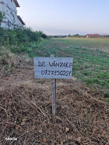 Teren de vanzare in Balotesti in apropierea padurii - 1