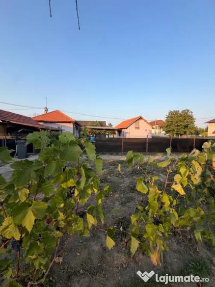 Casă cu 3 camere cu Teren 2330 Mp în Central