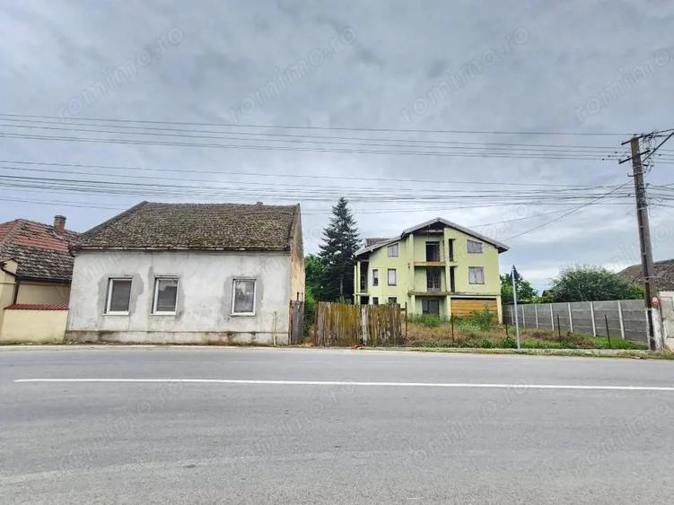 Casă cu Teren 5500 Mp în Peciu Nou