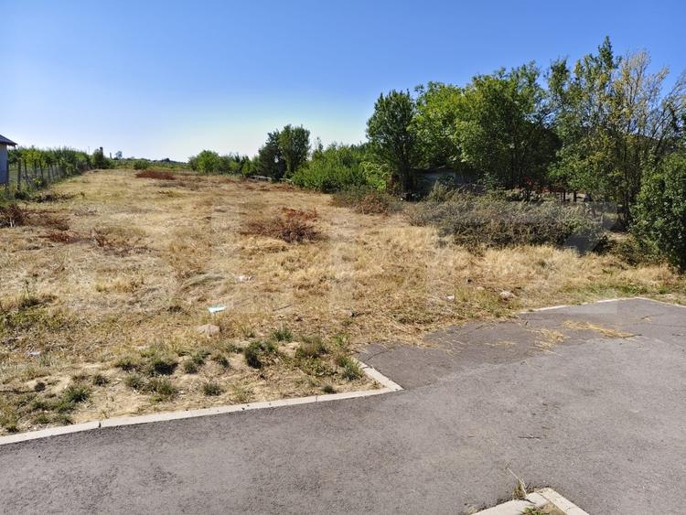 Teren agricol extravilan de 2576 mp, în Careiului