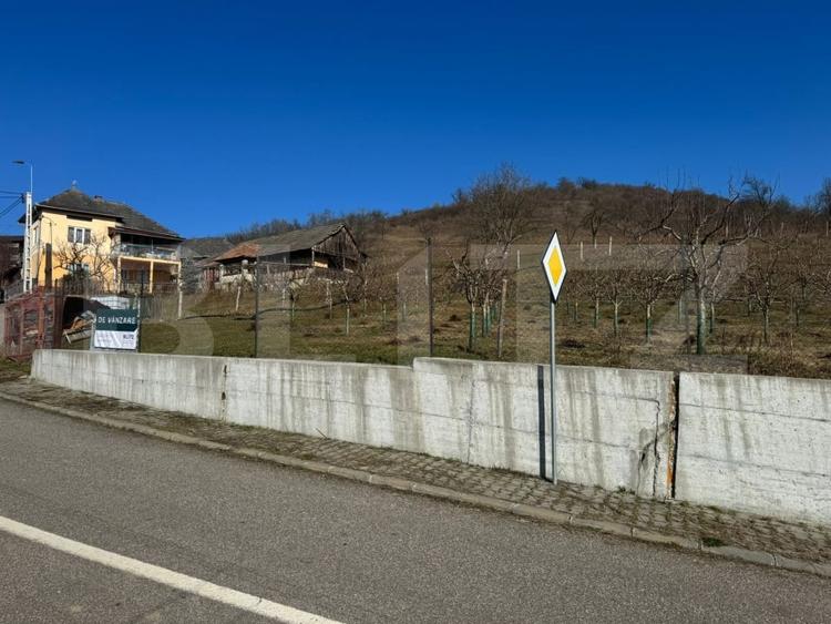 Teren Construcții intravilan de 3001 mp, în Nord-Vest