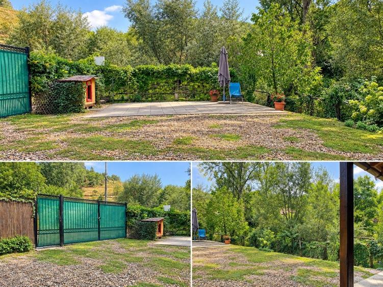 Casă cu 3 camere cu Teren 19549 Mp în Valea Vințului