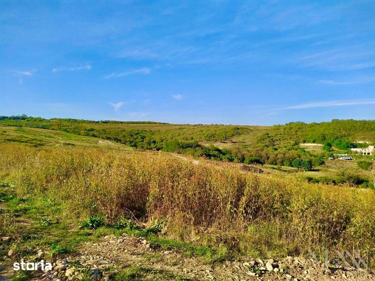 Teren de 11050 mp, în Paleu
