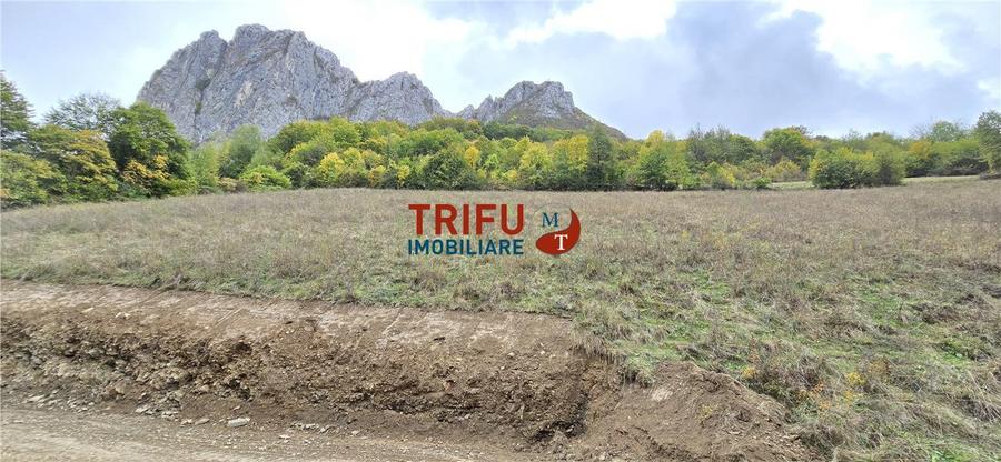 Teren intravilan de 15000 mp, în Râmeț