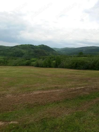 Teren de 20000 mp, în Rădulești