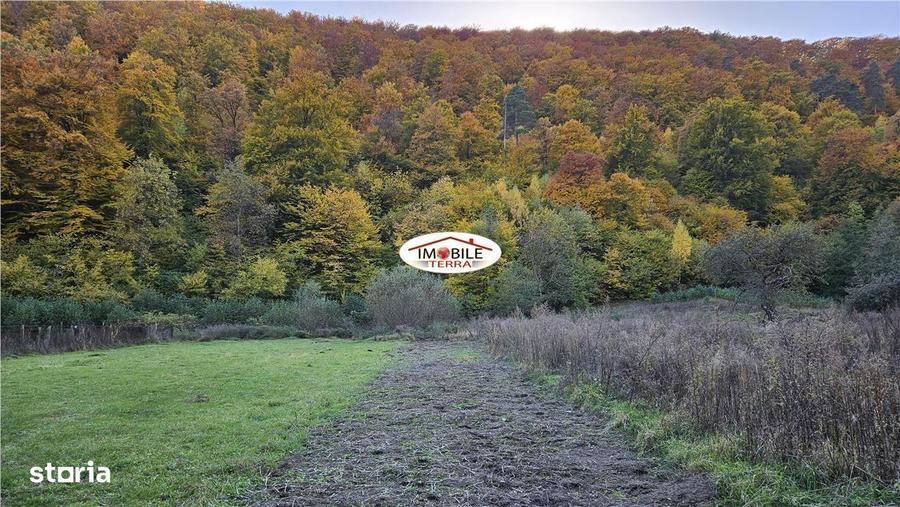 Teren de 310 mp, în Central