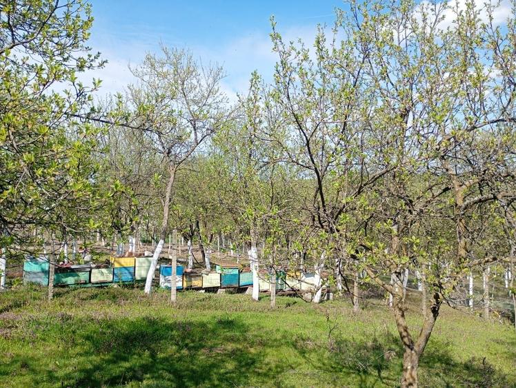 Casă cu 4 camere în Herneacova