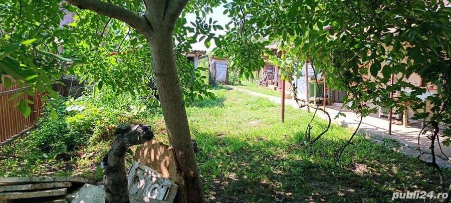 Casă cu 2 camere în Șag