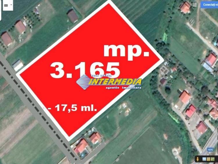 Teren Construcții intravilan de 3165 mp, în Cetate