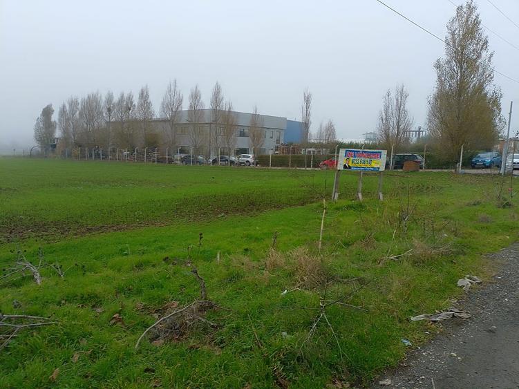Teren Construcții intravilan de 10000 mp, în Lumina
