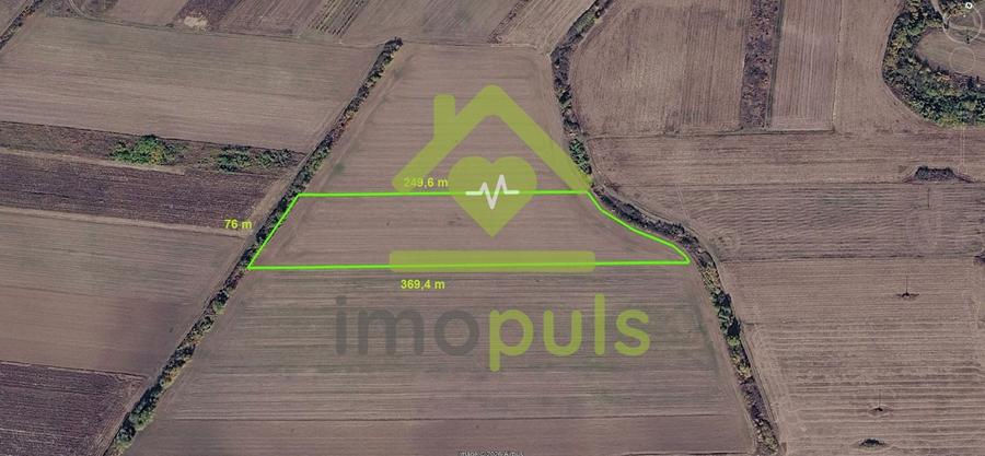 Teren Construcții intravilan de 20200 mp, în Bucovăț (Remetea Mare)