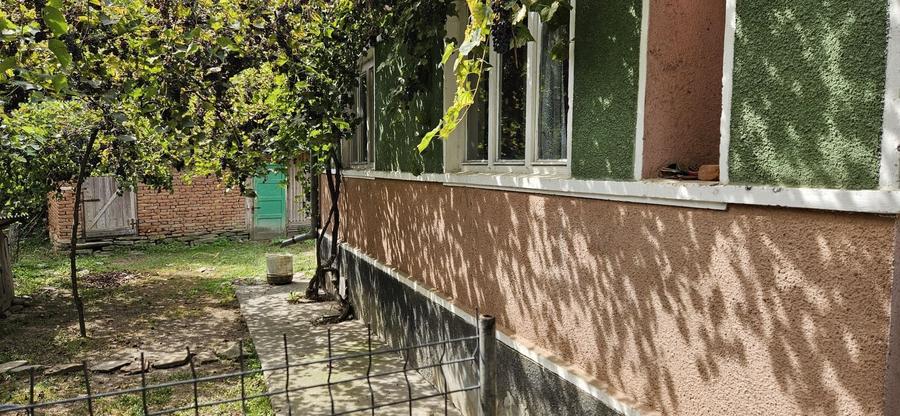 Casă cu 2 camere în Gârbou