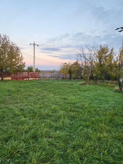 Teren de 600 mp, în Moșoaia