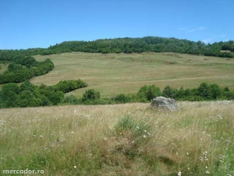 Teren investiție, de 488,000 mp, în Nord