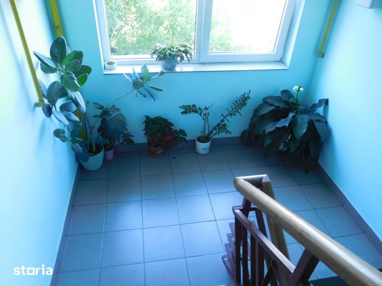 Apartament 3 camere, balcon ?i garaj, Grigorescu - 5