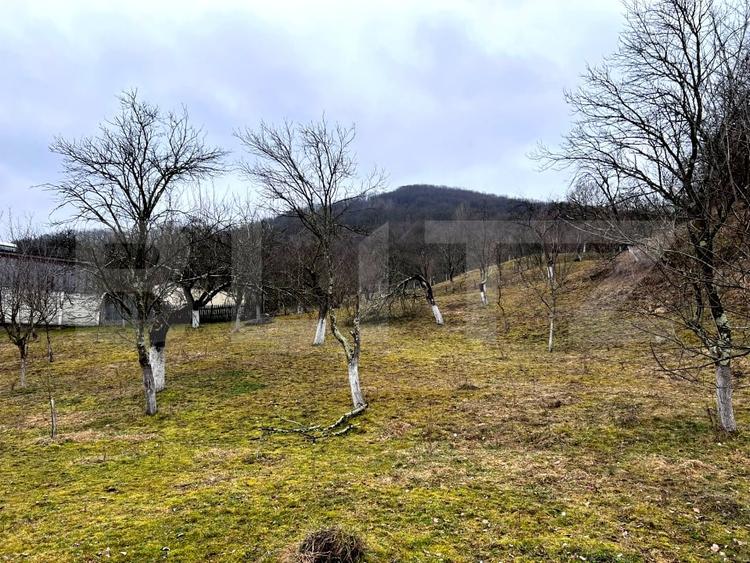 Teren Construcții intravilan de 3709 mp, în Stremț