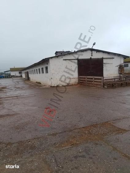 Teren de 1000000 mp, în Central