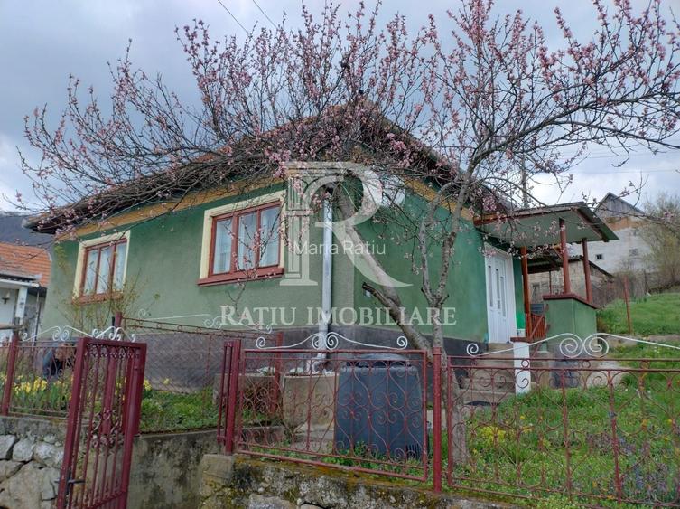 Casă din cărămidă | Teren 800 mp | Anexe tradiționale | Magura-Toplita