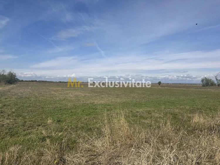 Teren de 3700 mp, în Rătești